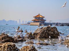 -栈桥景区