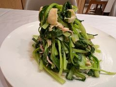 -新吉士·上海菜(浦东LCM置汇旭辉店)