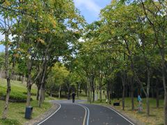-牛岗山公园