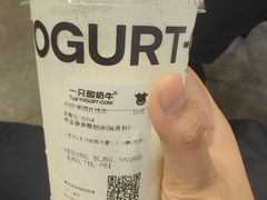 -一只酸奶牛(八一路店)