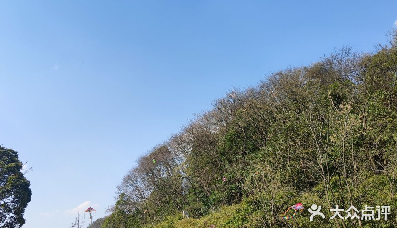 开春吃瘦不饿瘦
