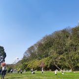 开春吃瘦不饿瘦