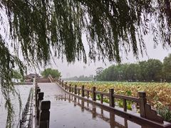-济南大明湖景区