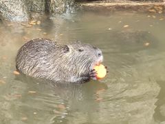 -海南热带野生动植物园