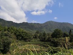 -塔川景区
