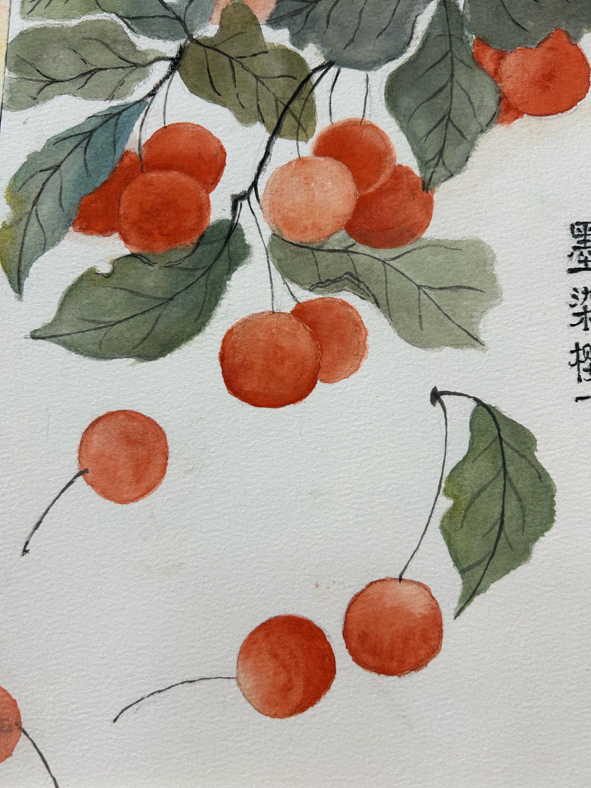 水彩画里的甜蜜果实
