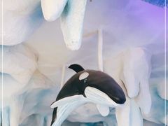 -石家庄海洋公园