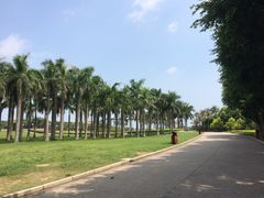 -华侨公园