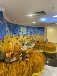 -深圳春天阳光医院·轮廓抗衰中心