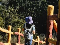 -十三陵水库