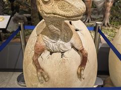 -湖南省地质博物馆