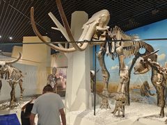 -国家自然博物馆