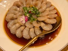 炝白虾-福玺荟(外滩罗斯福店)