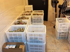 -璐坊粽王(复兴中路店)