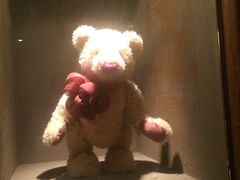 -济州岛泰迪熊博物馆