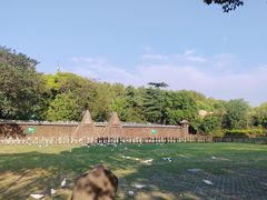-上海野生动物园
