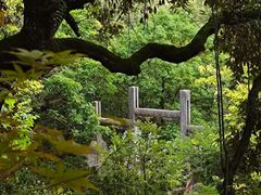 -黑龙潭公园