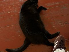 -春风十里咖啡馆