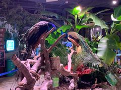 -正佳雨林生态植物园