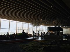 -Seesaw Coffee(朝阳大悦城店)