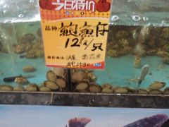 -南海食街(佛冈店)