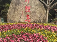 -野狸岛