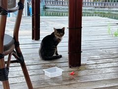 -酷鱼垂钓CLUB(朝阳区博大路店 )