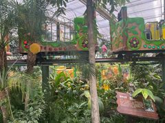 -南宫五洲植物乐园