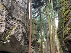 -梭布垭石林景区