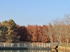 -上海海湾国家森林公园