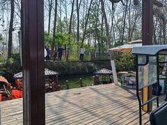 -合肥滨湖国家森林公园