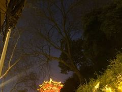 -武汉长江大桥
