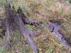 -硗碛藏寨·神木垒景区