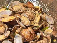 -开海·红岛海鲜虾水饺(石老人店)