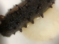 -宫品海参专卖店(静安大宁店)