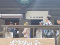-富田农场