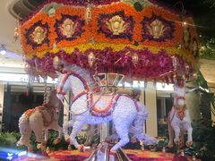 -拉斯维加斯永利酒店