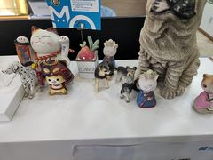 -美联众合动物医院·24h转诊中心