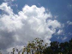 -贵阳市花溪国家城市湿地公园