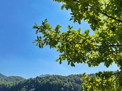 -玉渡山自然风景区