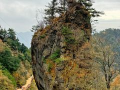 -秦岭天竺山景区