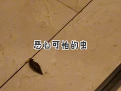 -三亚亚龙湾人间天堂鸟巢度假村