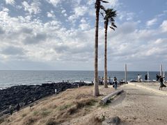 -Cafe Aewol Monsant