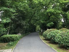 -合肥三国新城遗址公园