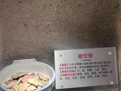 -广东中医药博物馆