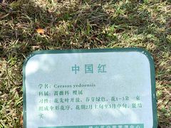 -聚龙山公园