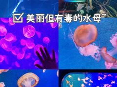 -正佳极地海洋世界
