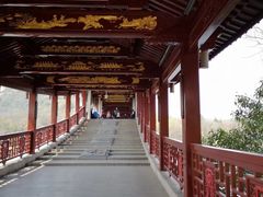 -长广溪湿地公园