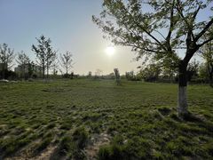 -汉长安城未央宫国家考古遗址公园