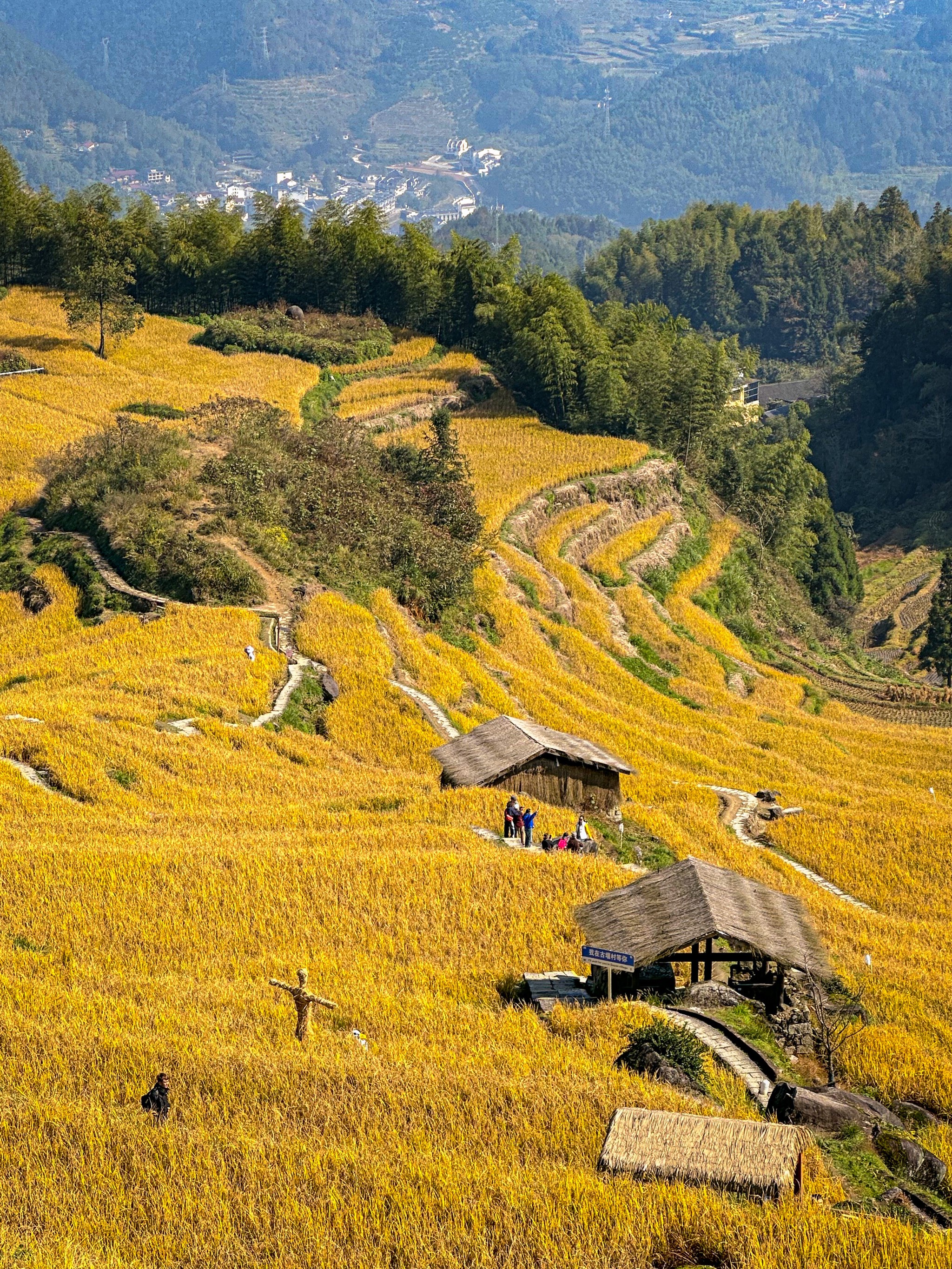 云和梯田最佳观景点图片